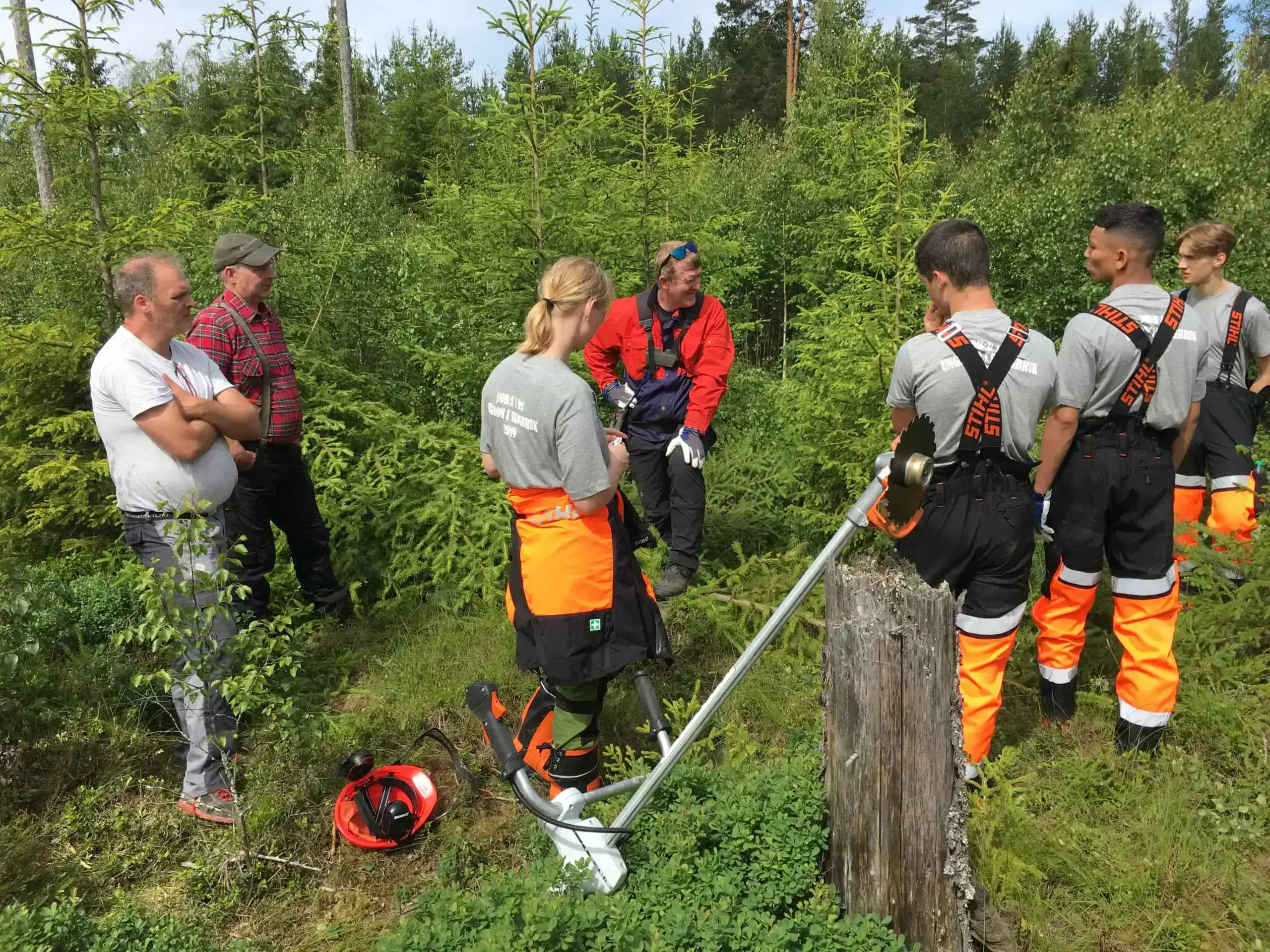 Flere skal få sommerjobb i skogen