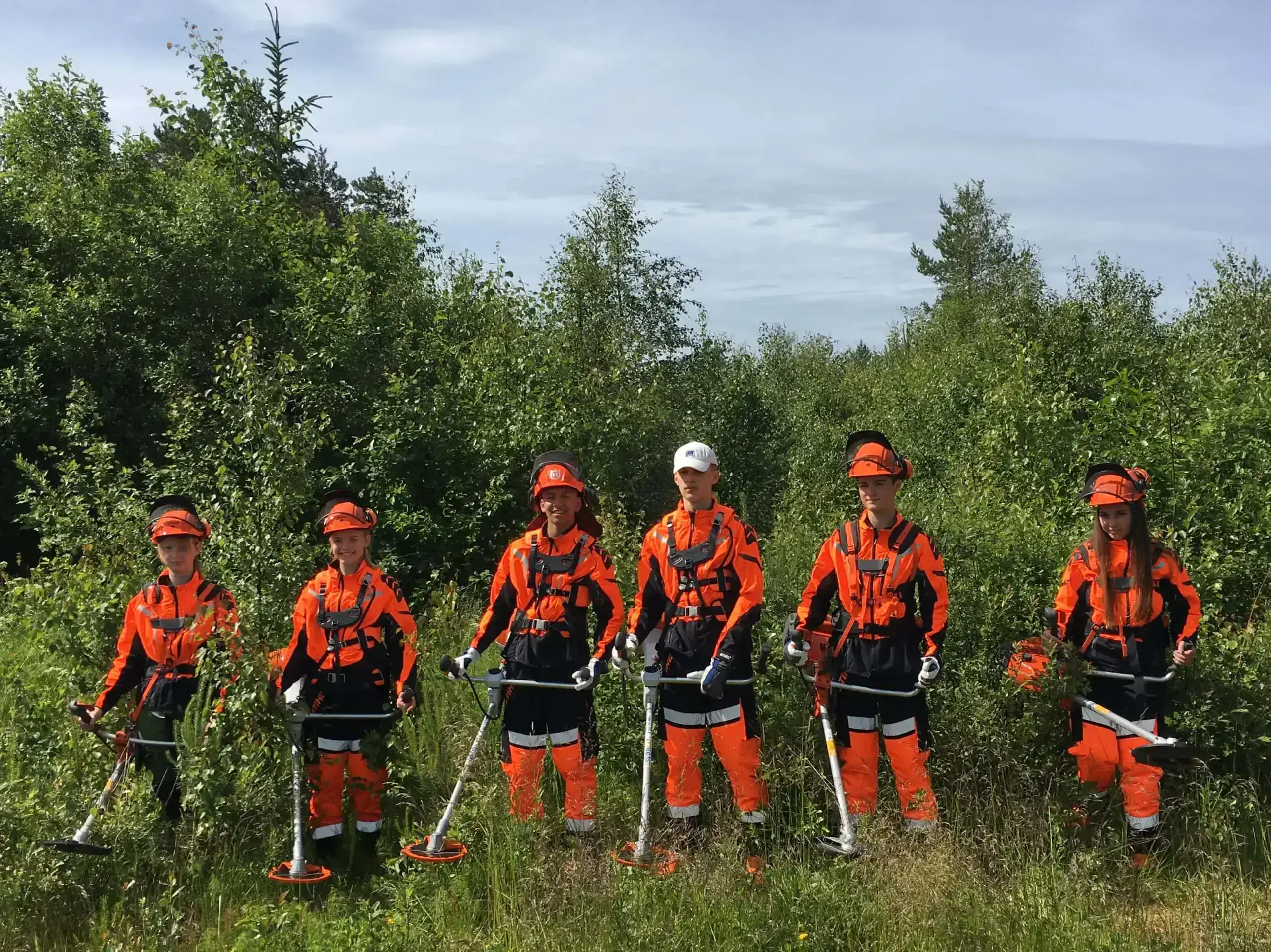 Sommerjobb i Møreskogen, 2024