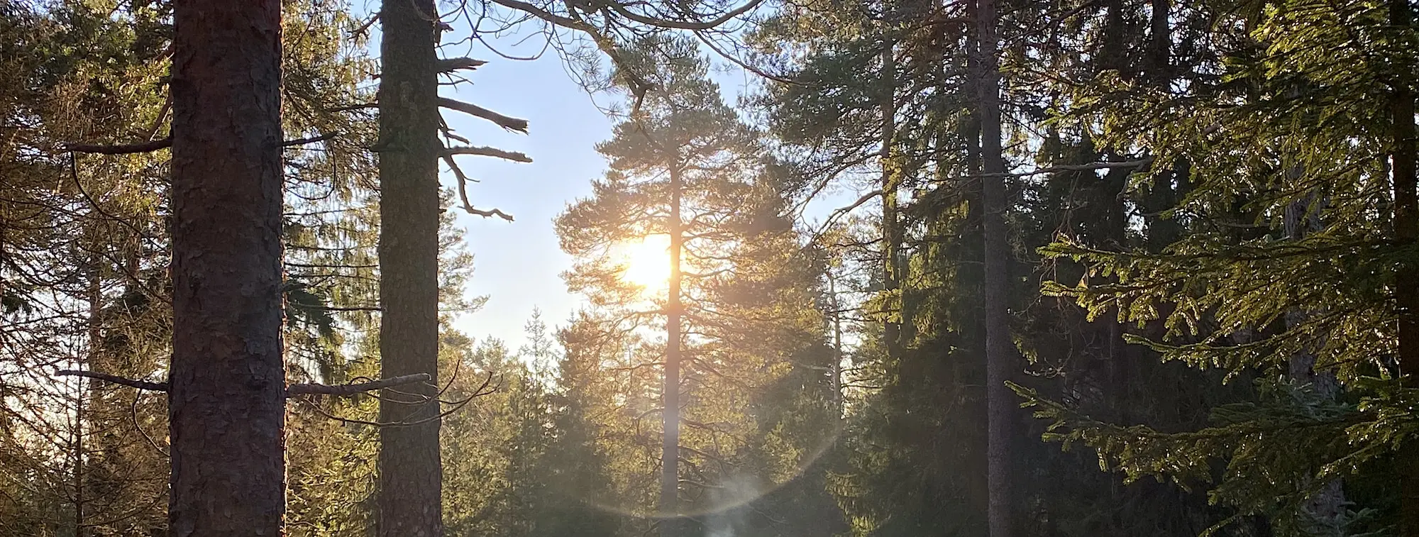 Året som gikk – 2020 i Oslo og Akershus