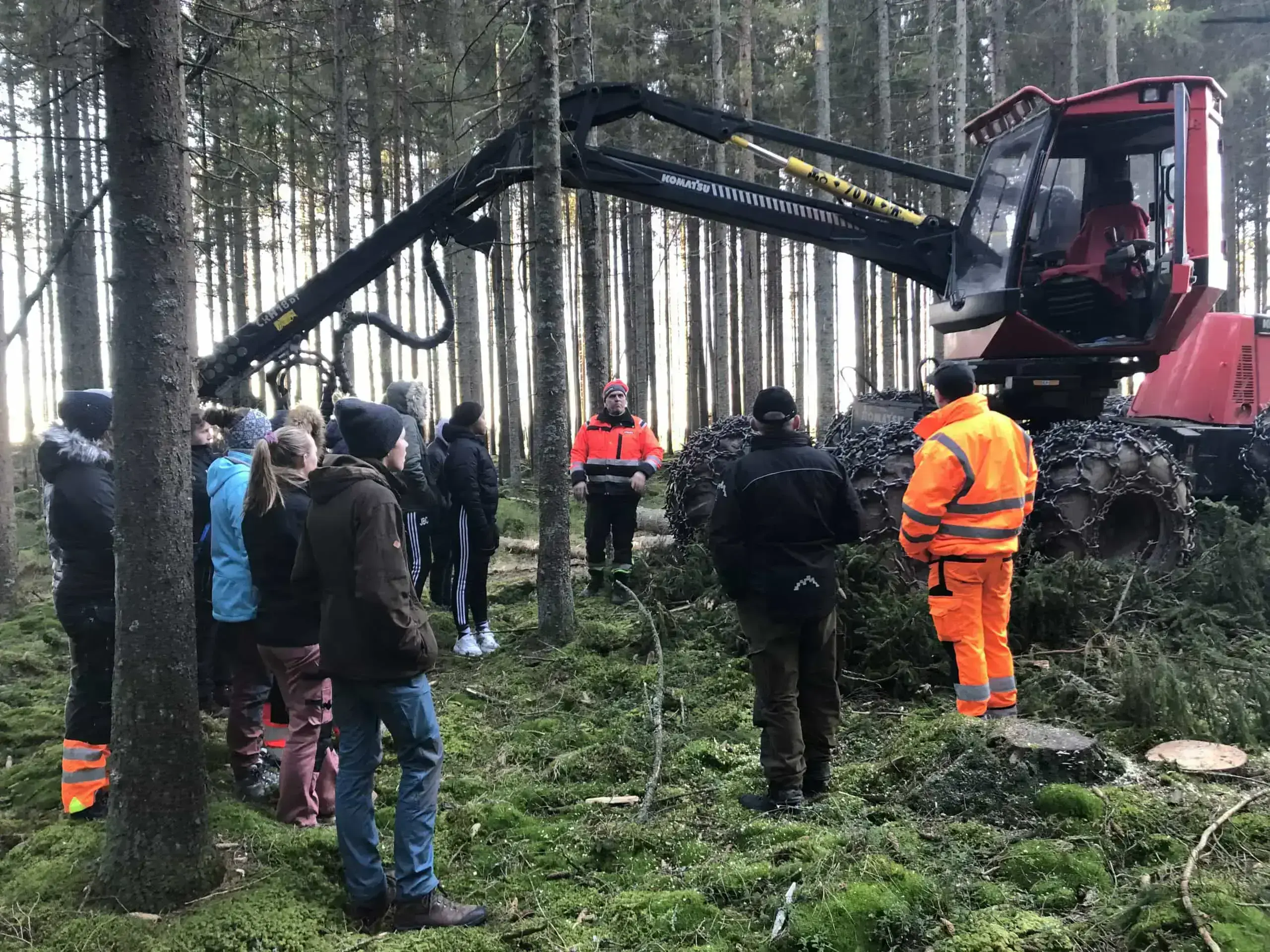 Skoleskogdag med Kalnes videregående skole
