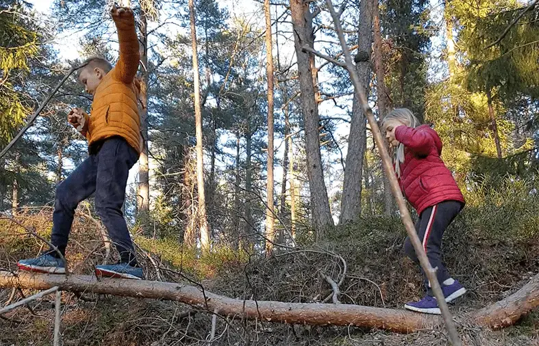 Skogen = beste treningsarena