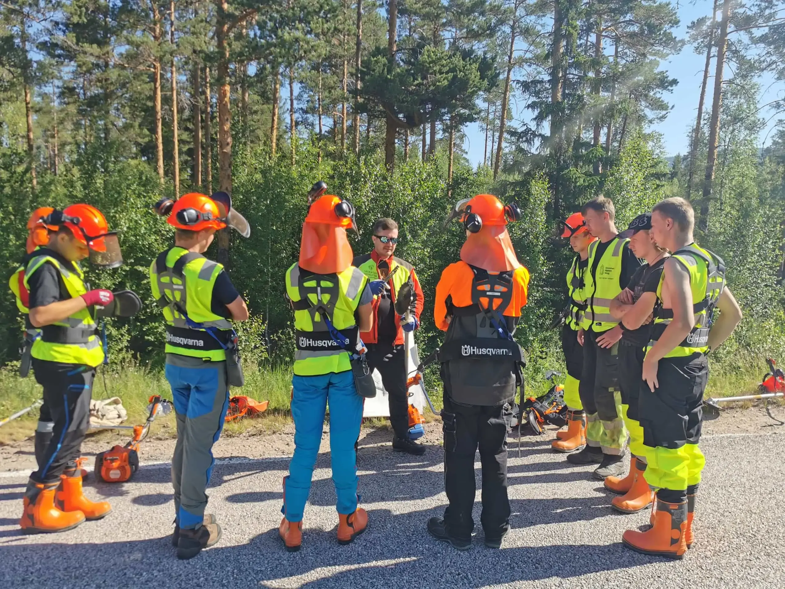 Sommerjobb i skogen