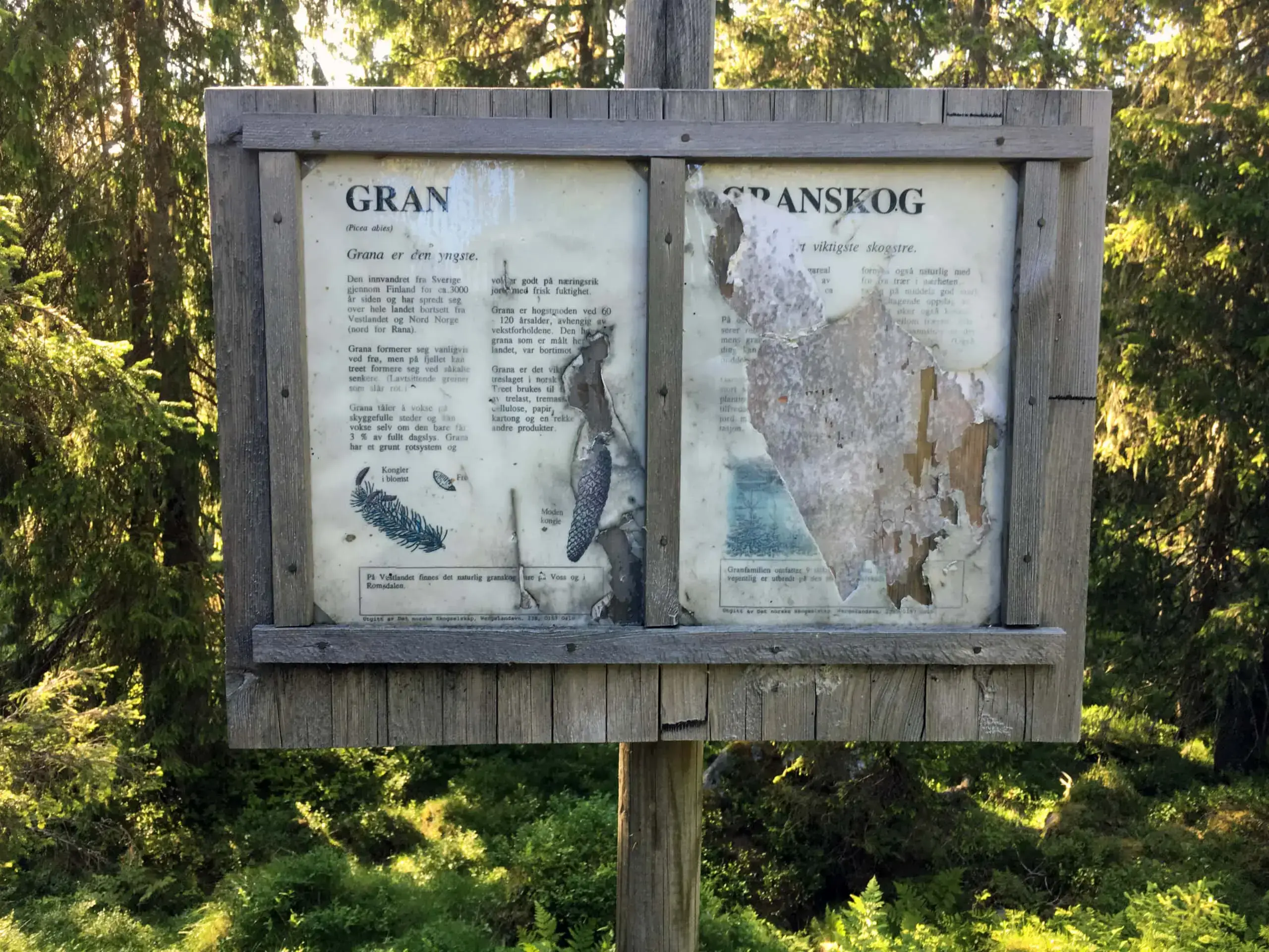 Vet du om naturstier som trenger &laquo;oppussing&raquo;?