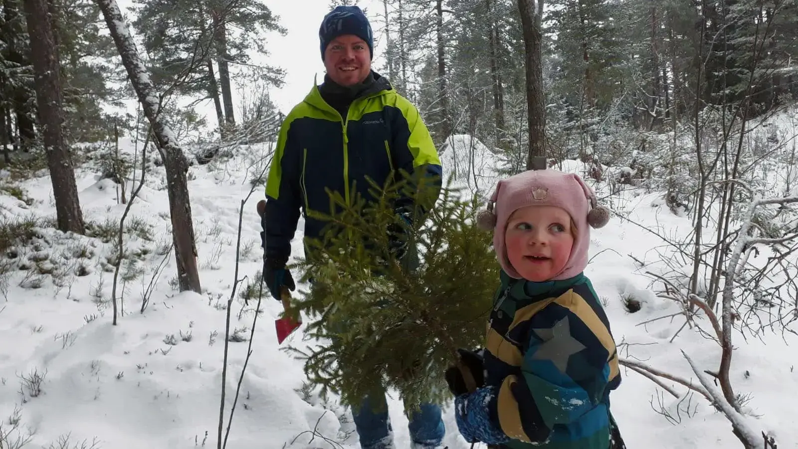 Hogge eget juletre, i andres skog?