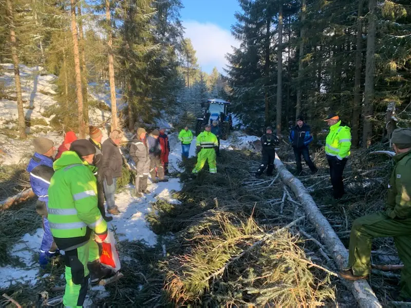 Skogdagar hausten 2021