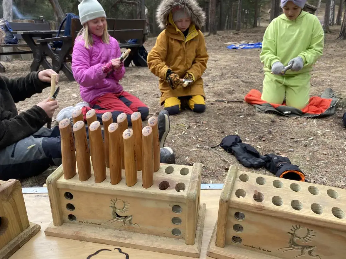 Skolesskogdager i Oppland