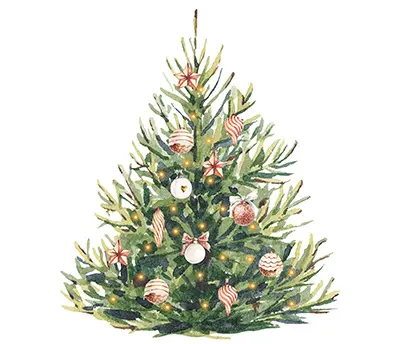Om juletreets posisjon