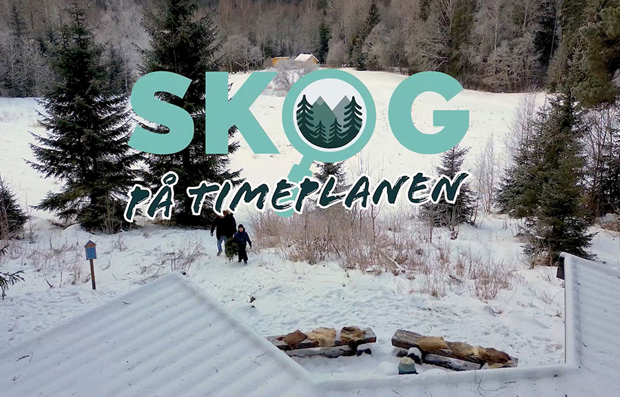 Vi lanserer: SKOG PÅ TIMEPLANEN