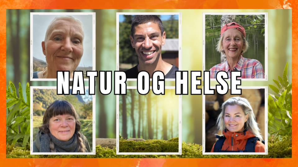 Skogselskapet set folkehelse på agendaen 3. februar