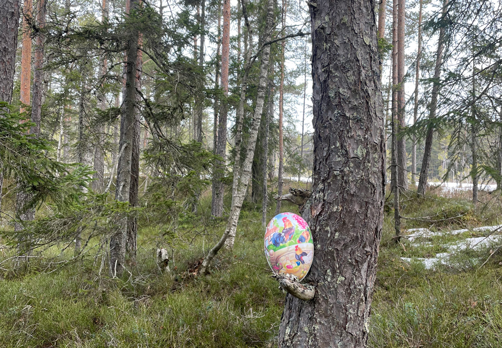 Påskeeggjakt