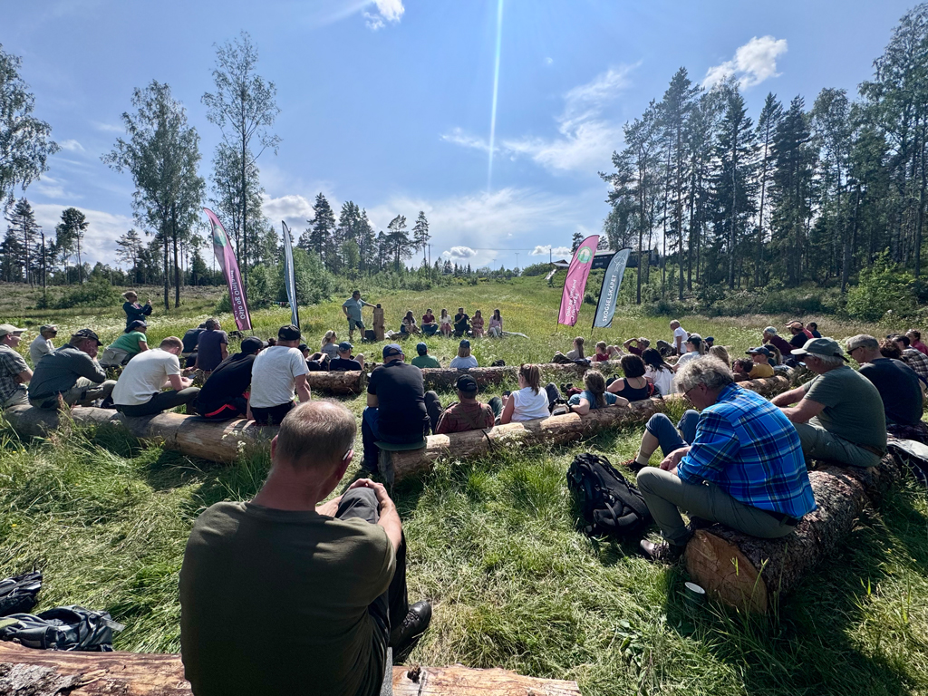 Stolt skogbruk