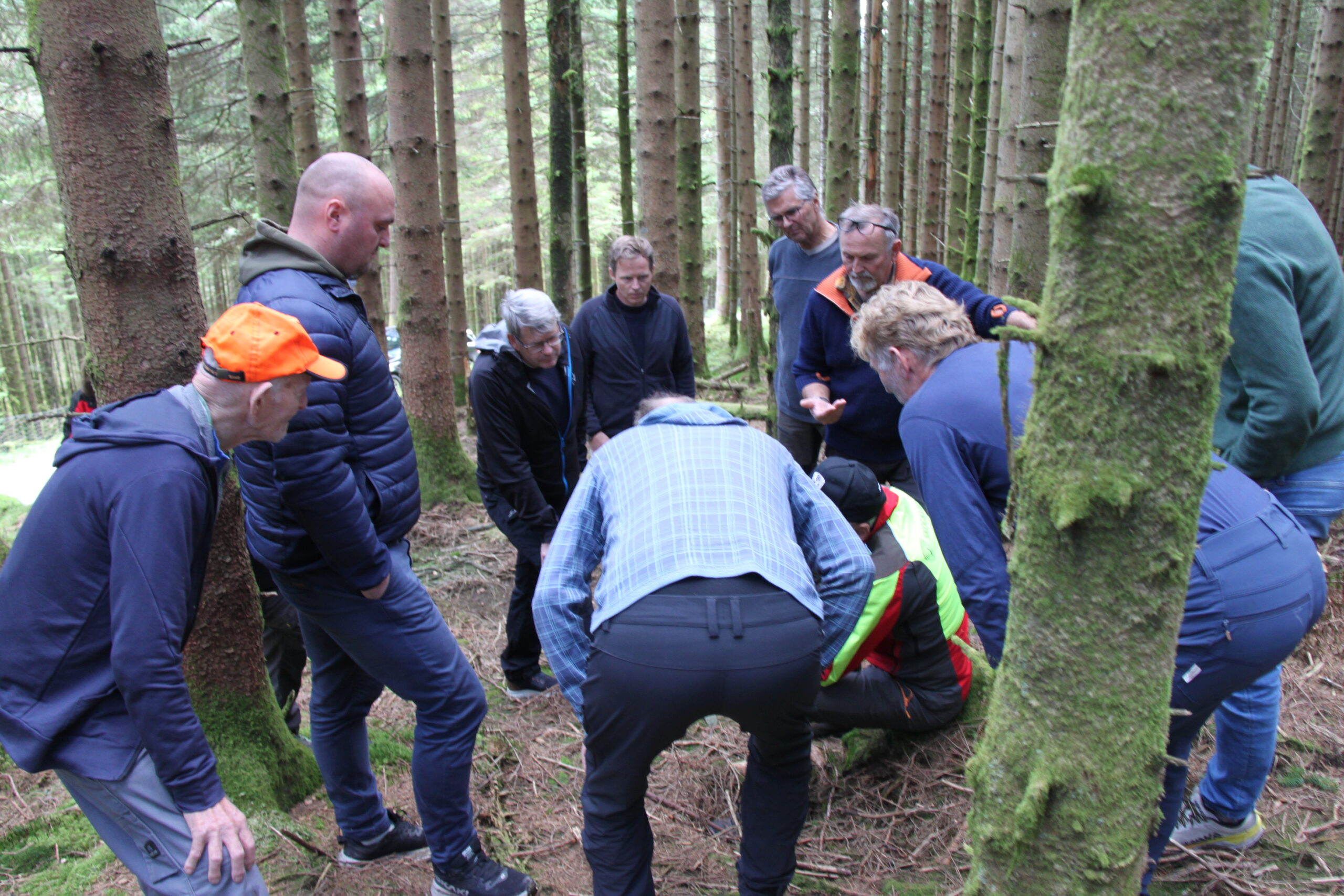 Fagdag for skogeiere i Vikedal